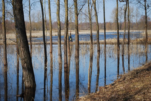 DSC_2457 DSC_2457