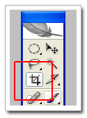 [croptool[3].png]