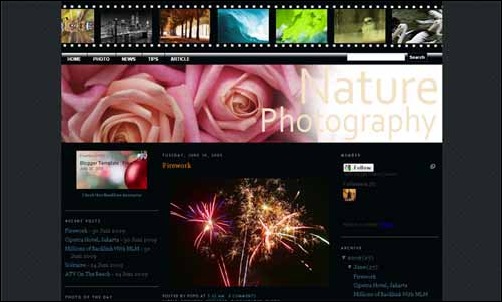 Nature Photography Template