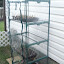 bigb00's Greenhouse garden