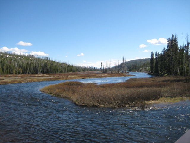[Potluck & Yellowstone 043[4].jpg]