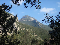 Bassegoda