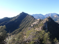 Carena de Salga i el Salgaguda