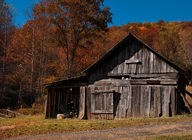 [DSC_7114[3].jpg]