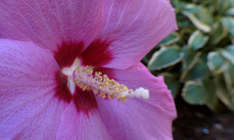 IMAG0288.jpg