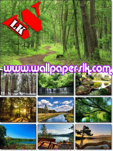 hd wallpaper pc. hd wallpaper wallpapers for pc in hd. hd wallpaper pc. hd wallpaper