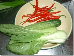 P1010006