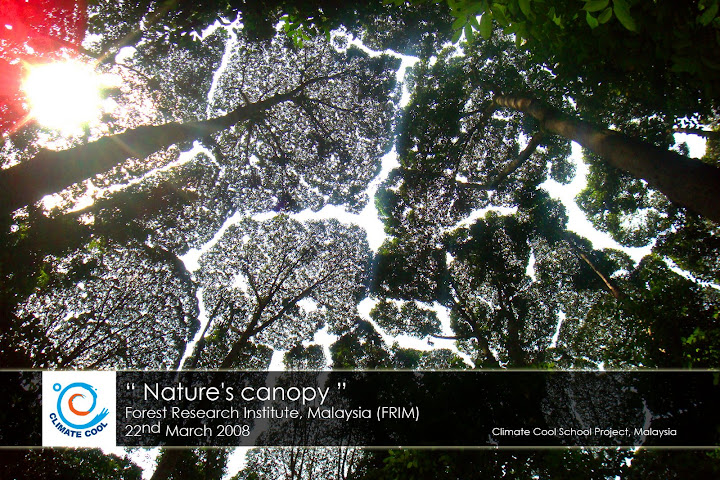 Natures canopy
