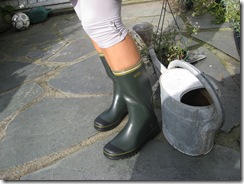 IMG_1838 IMG_1838