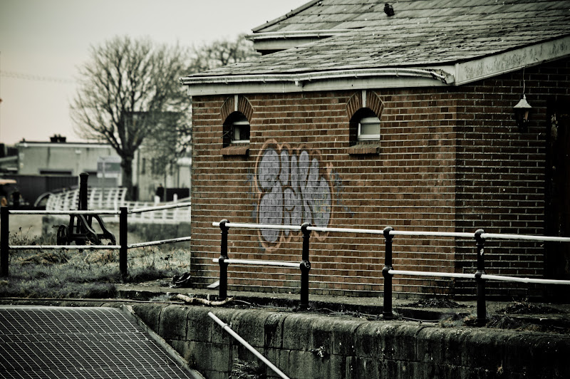 IMGP1338-2.jpg