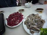 P1040860.JPG