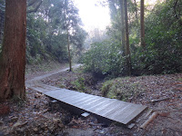 DSC00017.JPG Photo