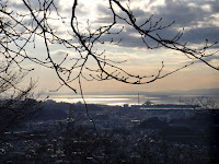 DSC00027.JPG Photo