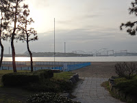 DSC00105.JPG Photo