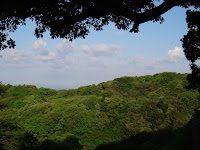 DSC00158.JPG Photo