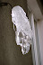 DSC02181.JPG