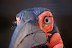 DSC01296.JPG