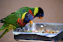 DSC01217.JPG
