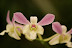 DSC01241.JPG