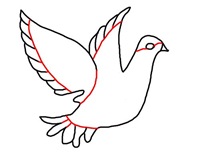 Bird-Added-Lead-Lines