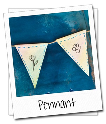 pennant-Polaroid