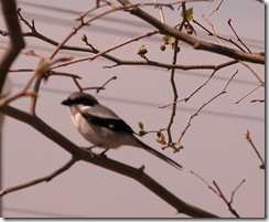 Dscn0024