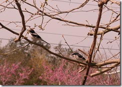 Dscn0022