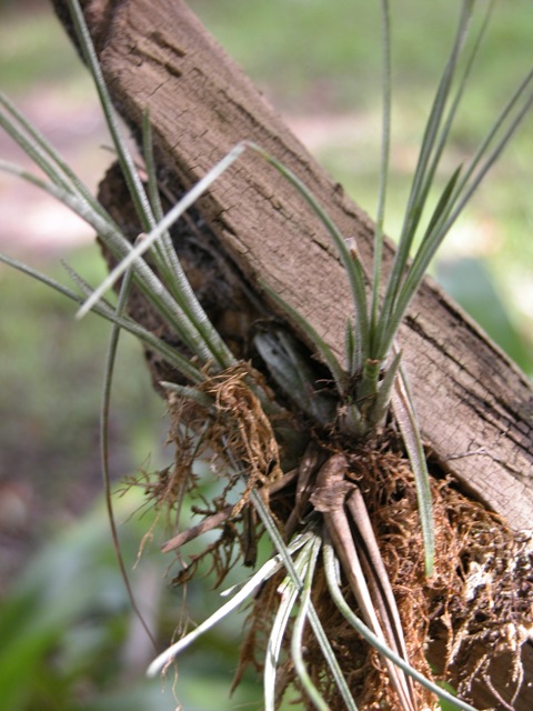 [DSCN10154.jpg]