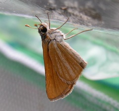 DSCN1058