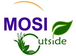 MOSI Outside