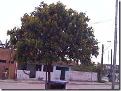 Fotos0968