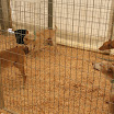 DSCF5427.JPG