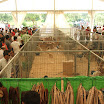 DSCF5429.JPG