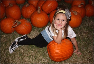 IMG_4416 IMG_4416