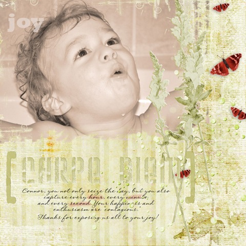 [connor-carpe-diem-livelydescriptionsvol1_qp2[3].jpg]