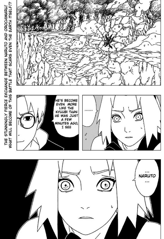 Naruto Shippuden Manga Chapter 295 - Image 17
