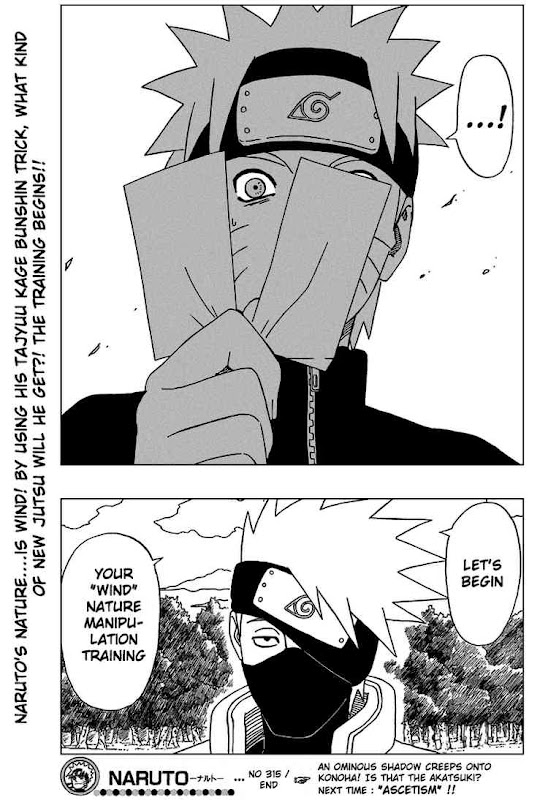 Naruto Shippuden Manga Chapter 315 - Image 17