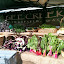 - Uploaded with the Flock Browser - http://www.flock.com