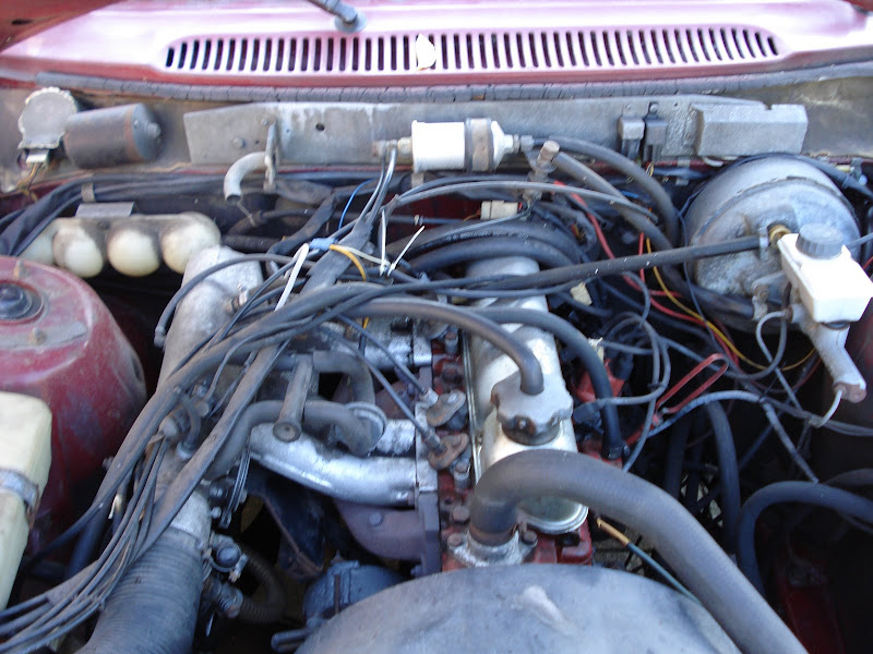 [Afbeelding: DSC00783.JPG]