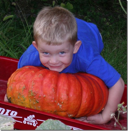 Picking Pumpkins 5
