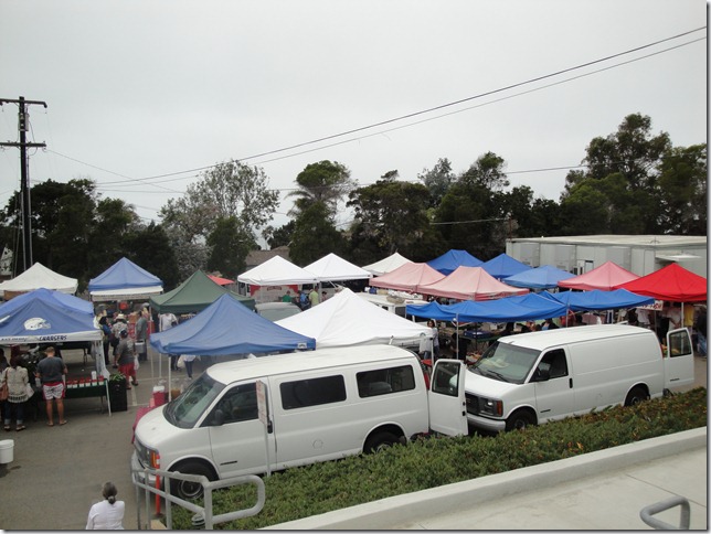 DSC03150