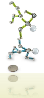 Acrobots
