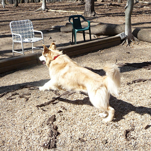 leap!