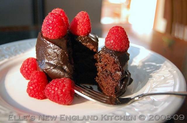 [raw-chocolate-ganache-cake-2[3].jpg]