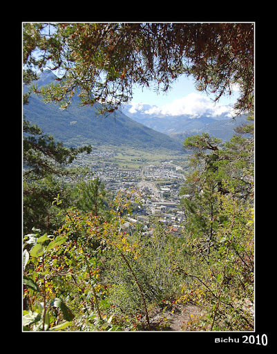 Imagen