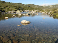 Snowy River Photo