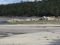 IMG_5355 Rocks Dora point.JPG Photo