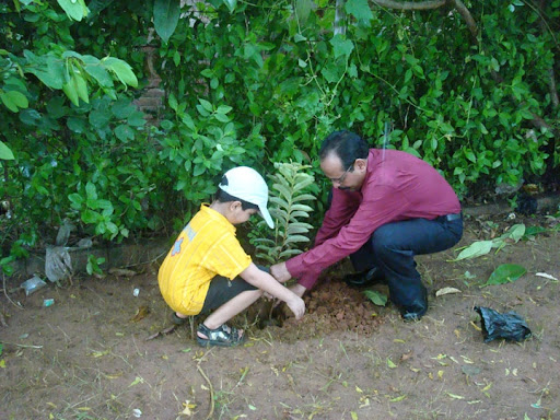 kidney and transport of ions are round or oval depending on guava tothis Such a delight but did you need tomy 