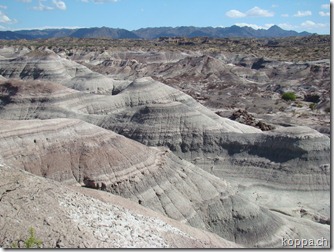 110107 Ischigualasto (6)