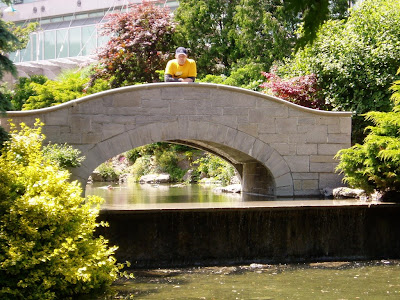 Bridge at the park.
